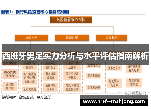 西班牙男足实力分析与水平评估指南解析