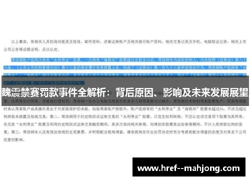 魏震禁赛罚款事件全解析：背后原因、影响及未来发展展望
