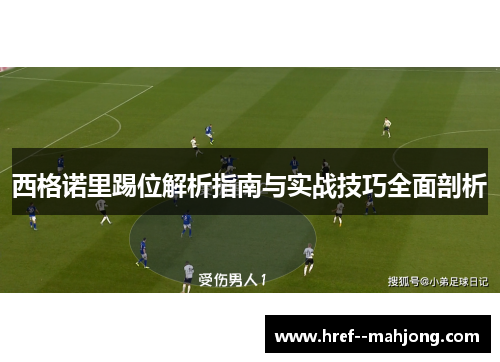 西格诺里踢位解析指南与实战技巧全面剖析