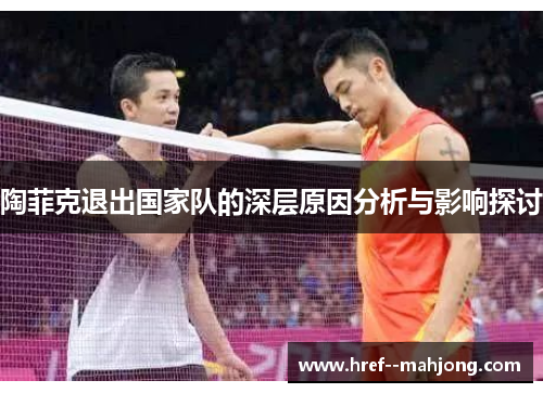陶菲克退出国家队的深层原因分析与影响探讨 陶菲克退出国家队的深层原因分析与影响探讨