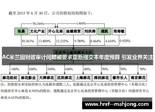 AC米兰因财政审计问题被要求重新提交本年度预算 引发业界关注